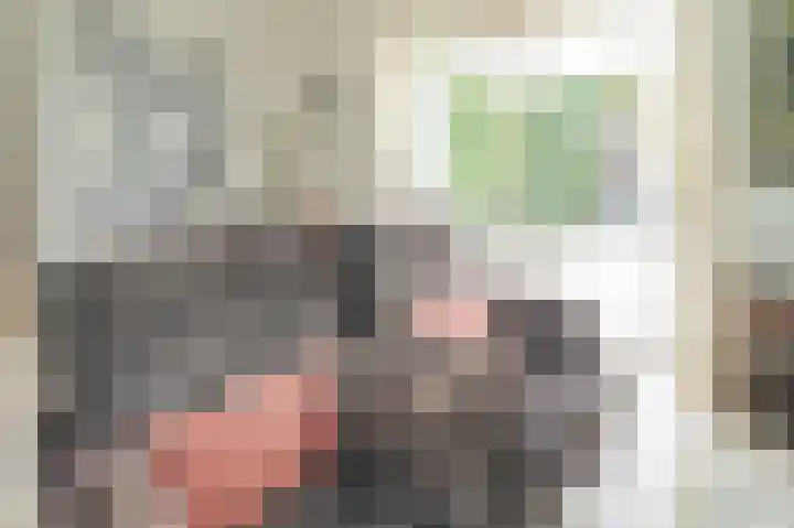 Vossenkoog 2 Alkmaar thumbnail 10