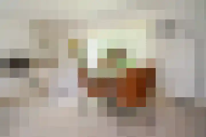 Vossenkoog 2 Alkmaar thumbnail 14