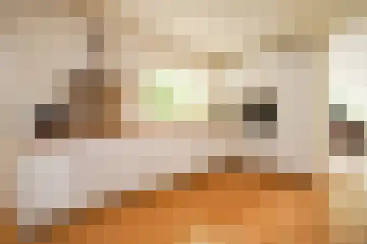 Vossenkoog 2 Alkmaar thumbnail 18