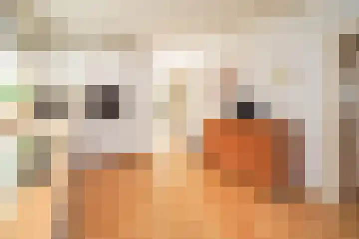 Vossenkoog 2 Alkmaar thumbnail 19