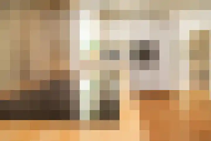 Vossenkoog 2 Alkmaar thumbnail 20