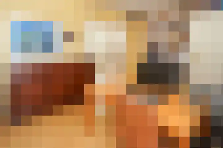 Vossenkoog 2 Alkmaar thumbnail 22