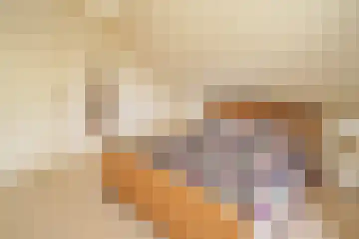 Vossenkoog 2 Alkmaar thumbnail 27