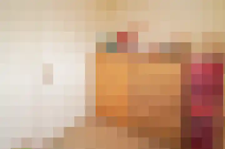 Vossenkoog 2 Alkmaar thumbnail 32