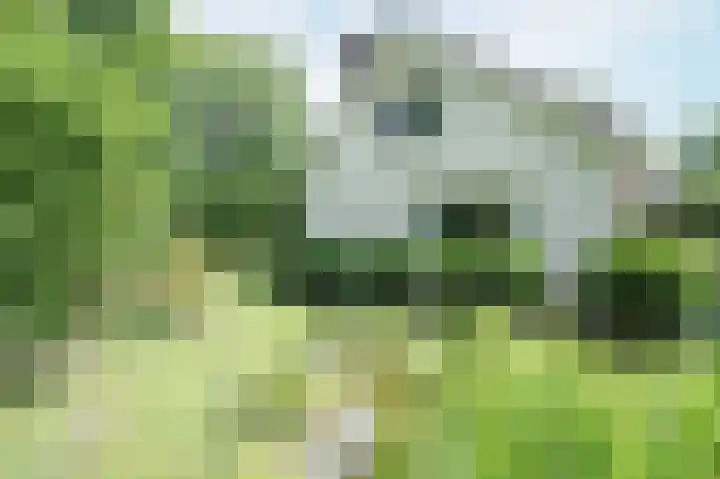 Vossenkoog 2 Alkmaar thumbnail 4