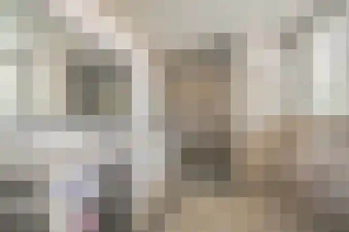 Vossenkoog 2 Alkmaar thumbnail 40