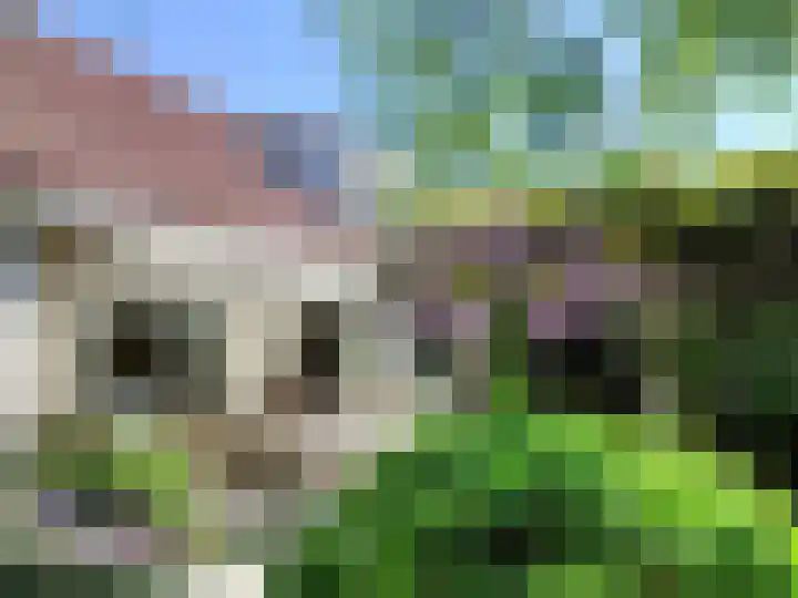 Vossenkoog 2 Alkmaar thumbnail 46