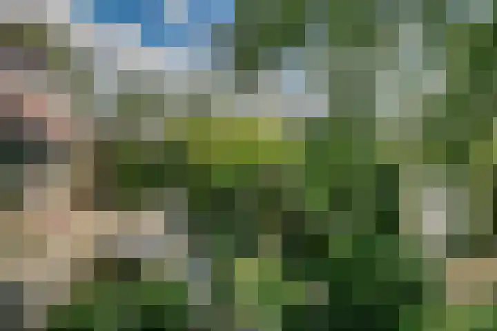 Vossenkoog 2 Alkmaar thumbnail 47