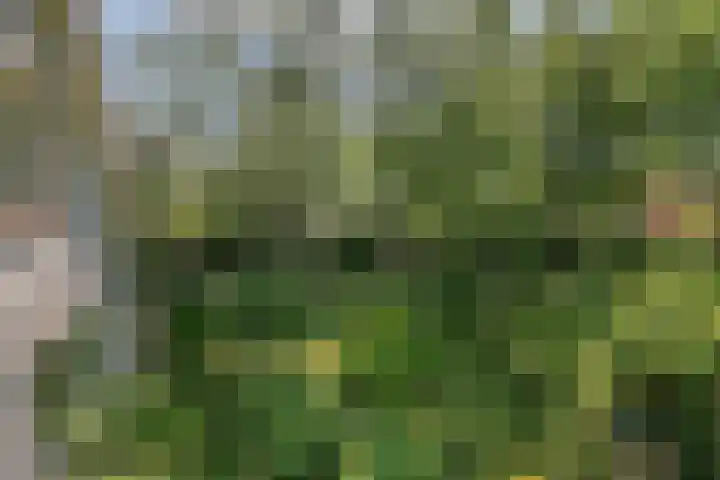 Vossenkoog 2 Alkmaar thumbnail 49