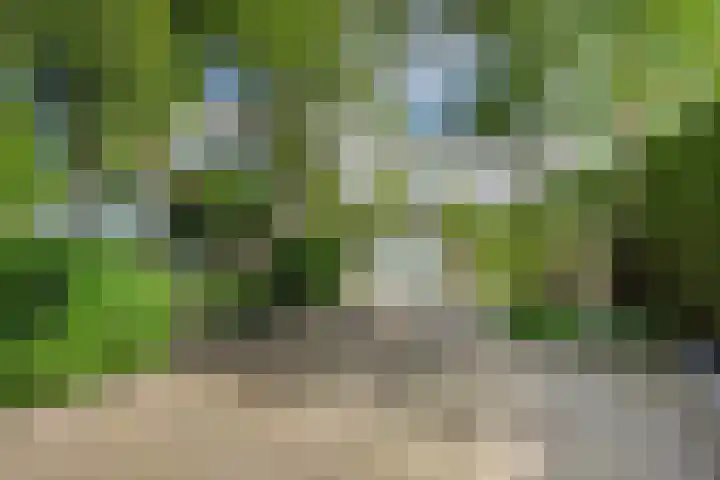 Vossenkoog 2 Alkmaar thumbnail 5