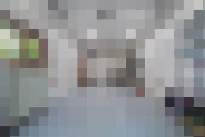 Vossenkoog 2 Alkmaar thumbnail 53