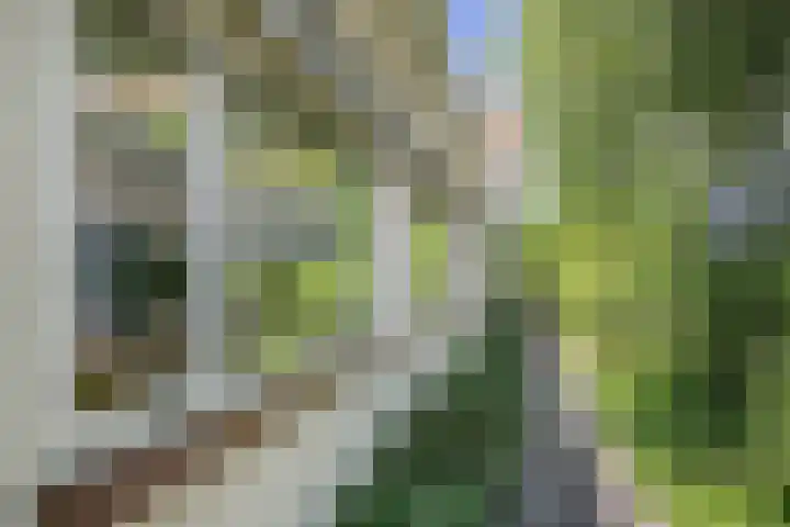 Vossenkoog 2 Alkmaar thumbnail 56