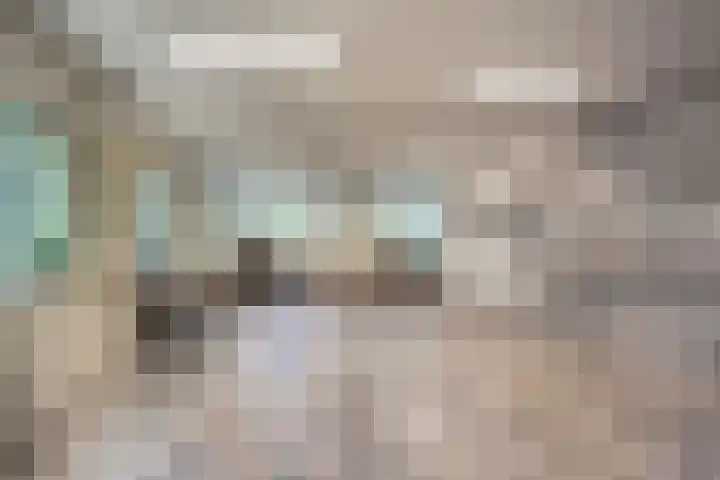 Vossenkoog 2 Alkmaar thumbnail 61