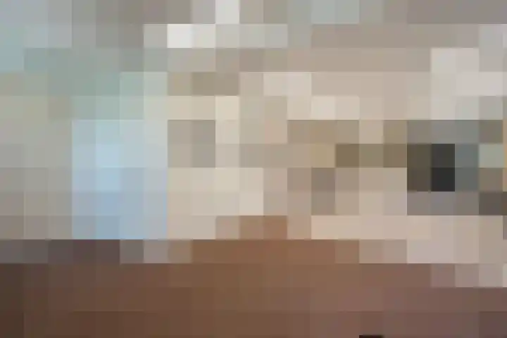 Vossenkoog 2 Alkmaar thumbnail 62
