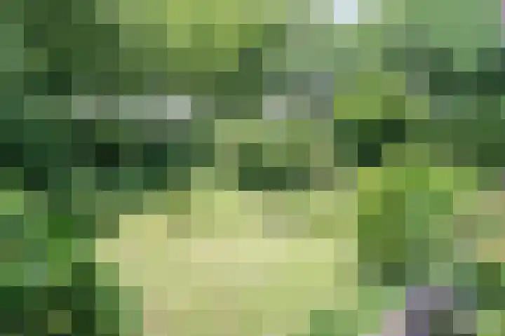 Vossenkoog 2 Alkmaar thumbnail 68