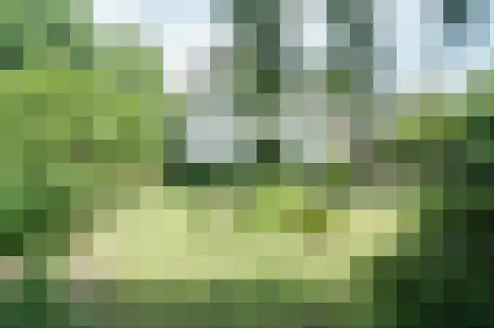 Vossenkoog 2 Alkmaar thumbnail 69