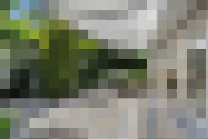 Vossenkoog 2 Alkmaar thumbnail 7