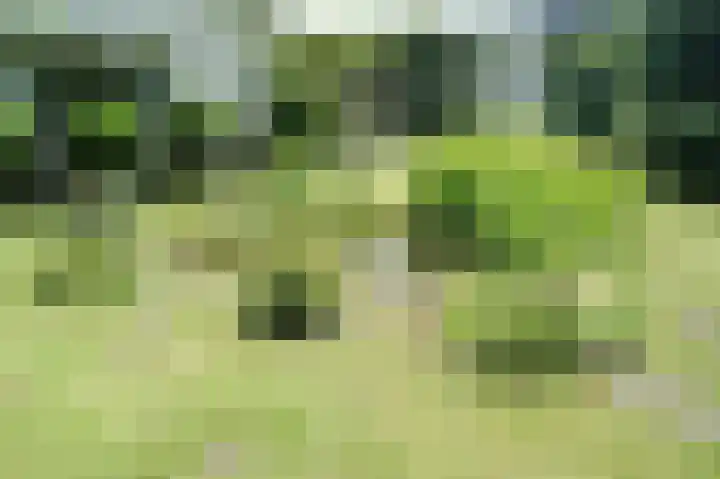 Vossenkoog 2 Alkmaar thumbnail 70