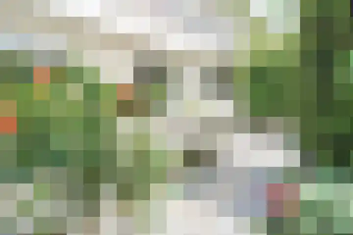 Vossenkoog 2 Alkmaar thumbnail 74