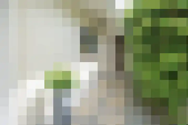 Vossenkoog 2 Alkmaar thumbnail 75