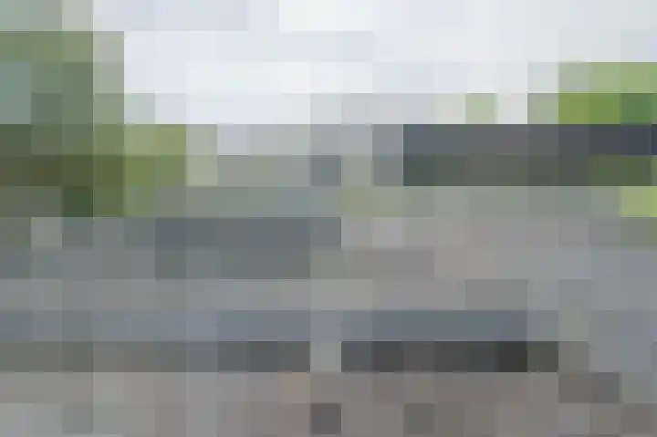Vossenkoog 2 Alkmaar thumbnail 77