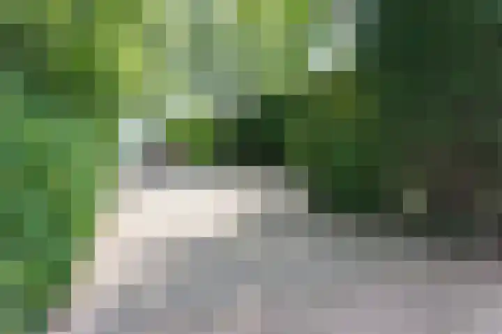 Vossenkoog 2 Alkmaar thumbnail 79