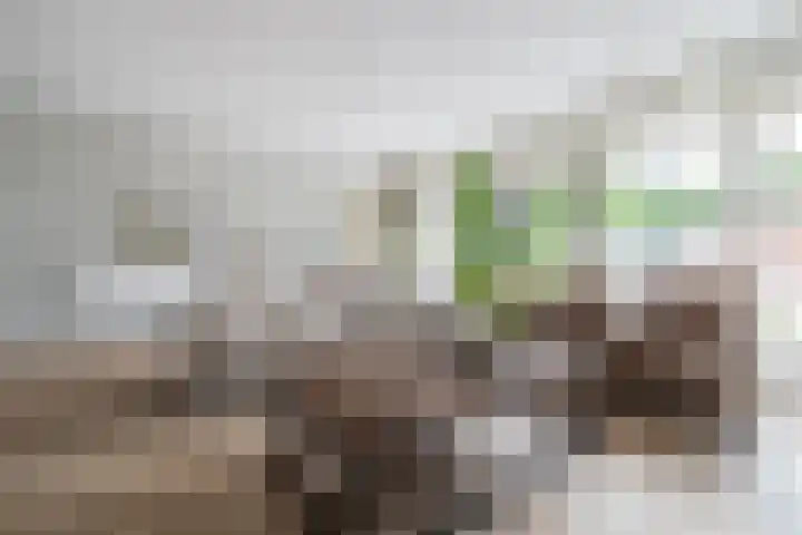 Vossenlaar 42 Bavel thumbnail 13
