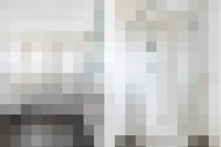 Vossenlaar 42 Bavel thumbnail 19