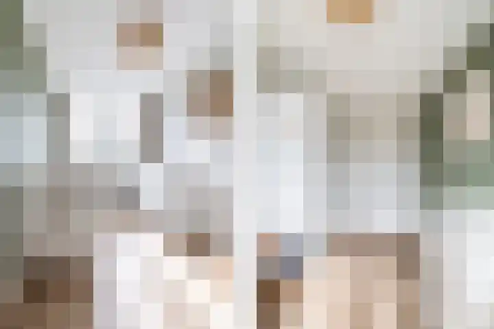 Vossenlaar 42 Bavel thumbnail 20