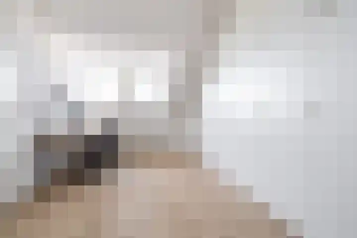 Vossenlaar 42 Bavel thumbnail 21