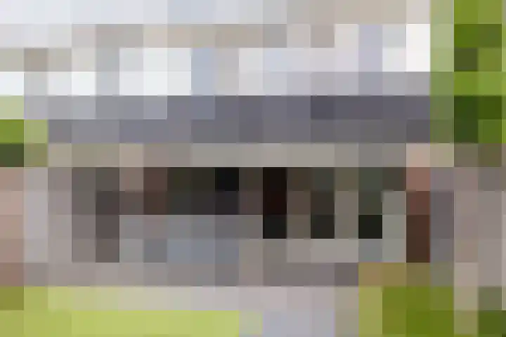Vossenlaar 42 Bavel thumbnail 24