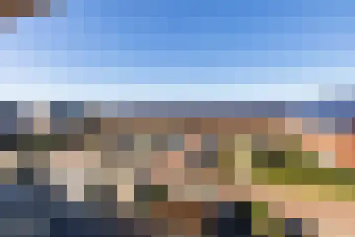 Vossenlaar 42 Bavel thumbnail 5