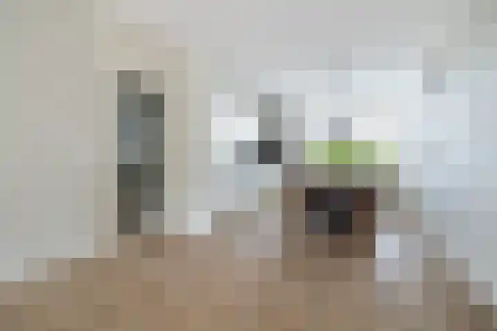 Vossenlaar 42 Bavel thumbnail 8