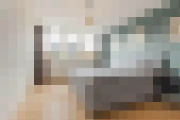 Vossenlaar 8 Bavel thumbnail 12