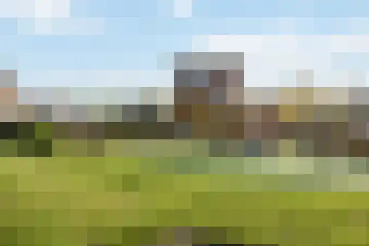 Vossenlaar 8 Bavel thumbnail 23