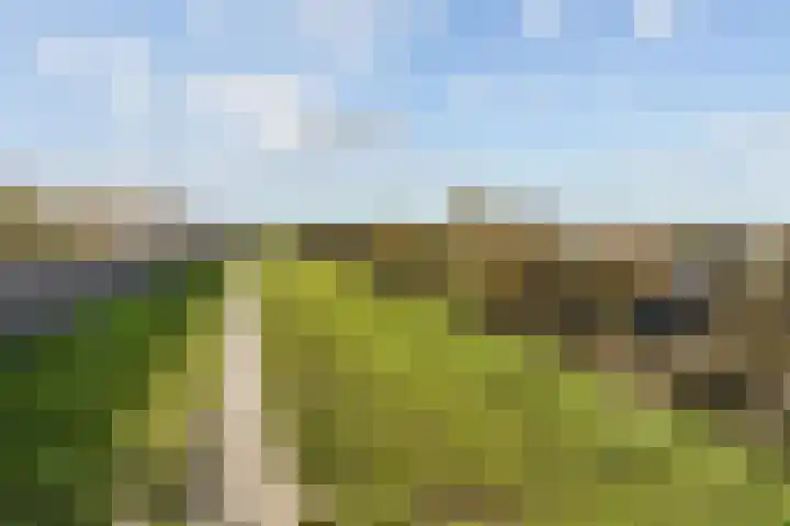 Vossenlaar 8 Bavel thumbnail 24