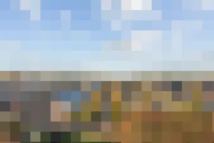 Vossenlaar 8 Bavel thumbnail 25