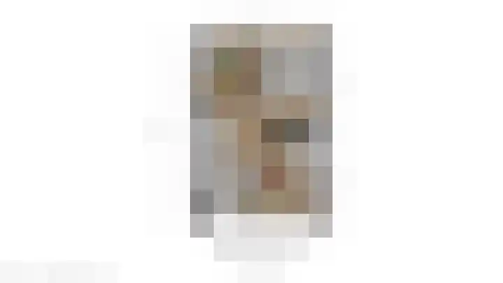 Vossenlaar 8 Bavel thumbnail 27