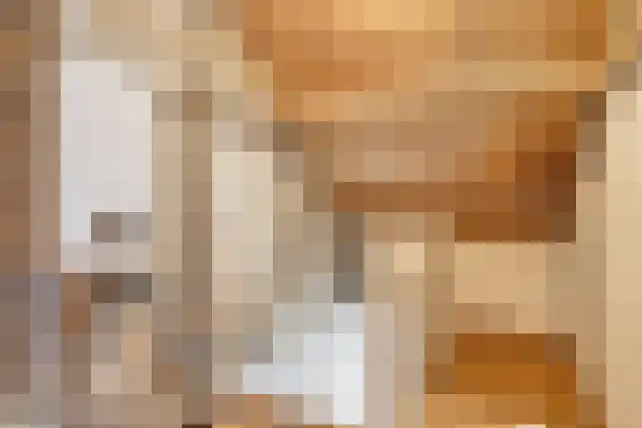 Vossenpad 9 Tilburg thumbnail 19