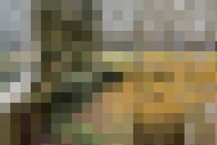 Vossenpad 9 Tilburg thumbnail 24