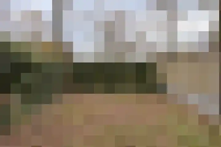 Vossenpad 9 Tilburg thumbnail 25