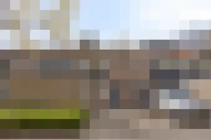 Vossenpad 9 Tilburg thumbnail 26