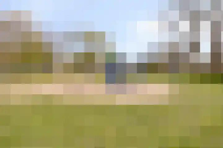 Vossenpad 9 Tilburg thumbnail 27