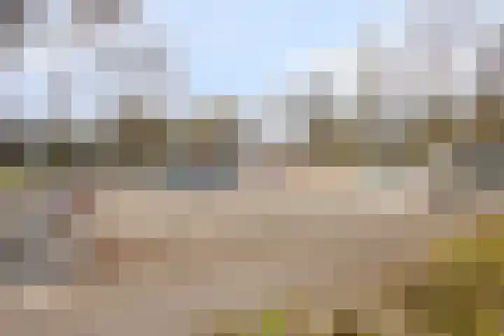 Vossenpad 9 Tilburg thumbnail 28