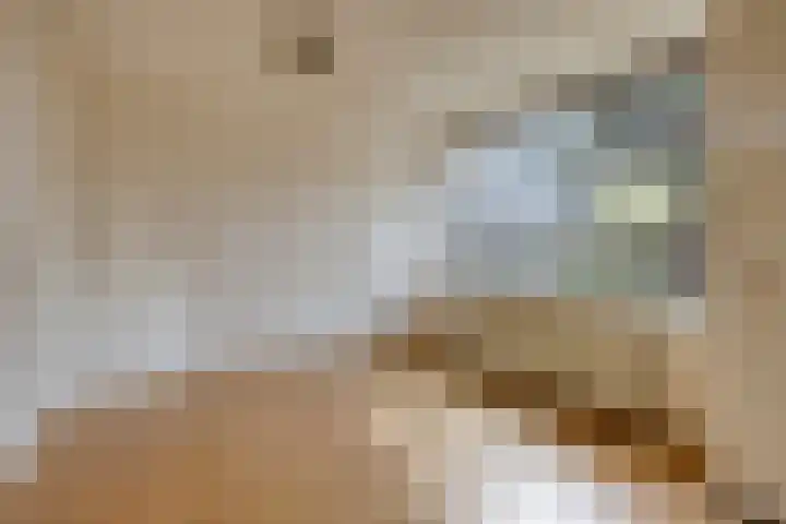 Vossenpad 9 Tilburg thumbnail 4