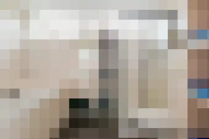 Vossenslag 35 Assen thumbnail 10