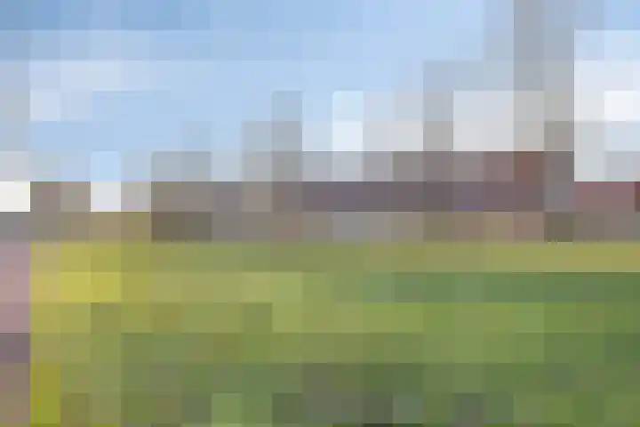 Vossenslag 35 Assen thumbnail 29