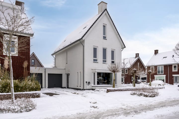 Vossenstaart 1 in Made foto