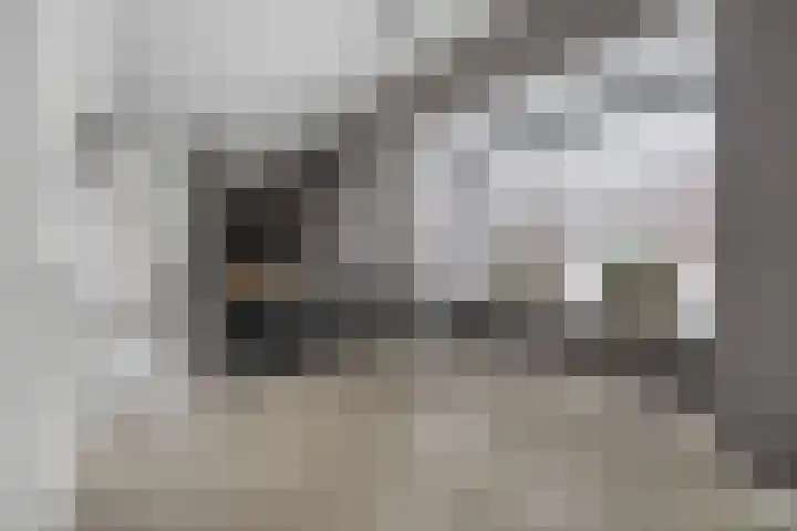 Vossenstaart 1 Made thumbnail 10