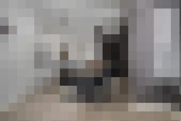 Vossenstaart 1 Made thumbnail 11